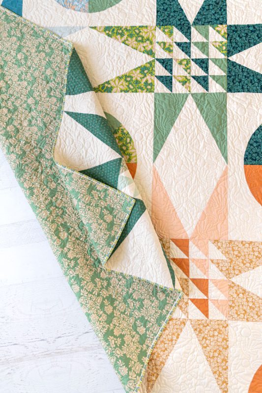 Evolve-Suzy-Planetarium-2-fabric-collection-suzy-quilts