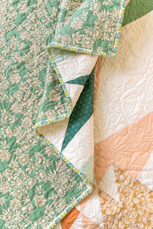 Evolve-Suzy-Planetarium-3-fabric-collection-suzy-quilts