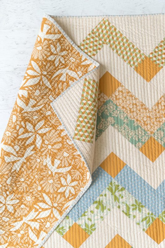 Evolve-Thrive-Suzy-3-fabric-collection-suzy-quilts