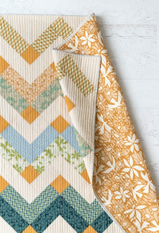 Evolve-Thrive-Suzy-4-fabric-collection-suzy-quilts