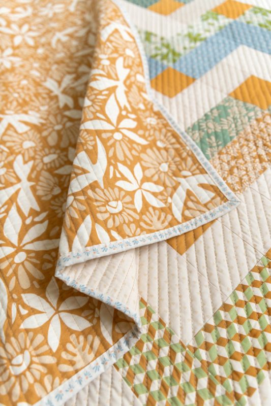 Evolve-Thrive-Suzy-5-fabric-collection-suzy-quilts