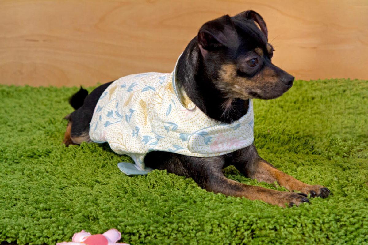 Spring-Equinox-Dog-Vest-2-fabric-collection-katie-oshea