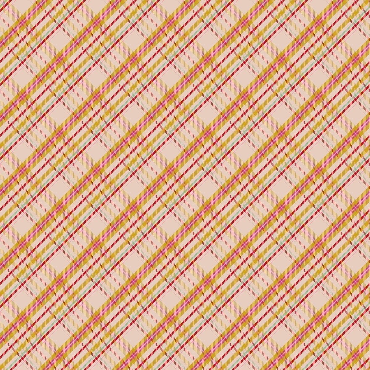 a close up of a plaid